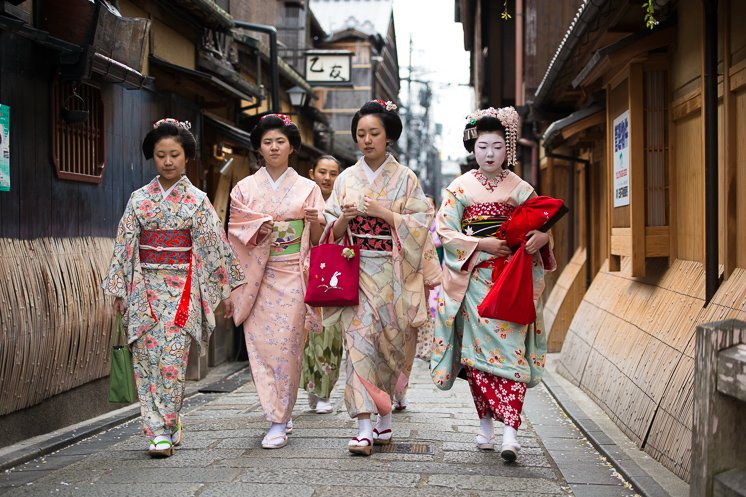 A group of maiko are walking through Gion.